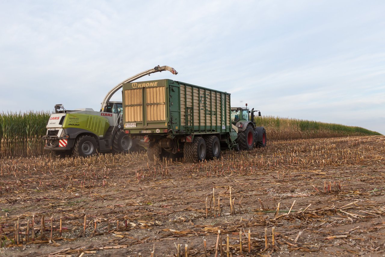 Bild 97 - Maisernte 2016